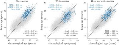 Linking Brain Age Gap to Mental and Physical Health in the Berlin Aging Study II